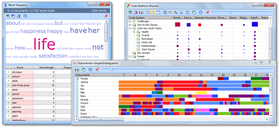 The stunning MAXQDA interpretation tools 'Visual Tools' The MAXQDA interpretation tools 'Visual Tools'