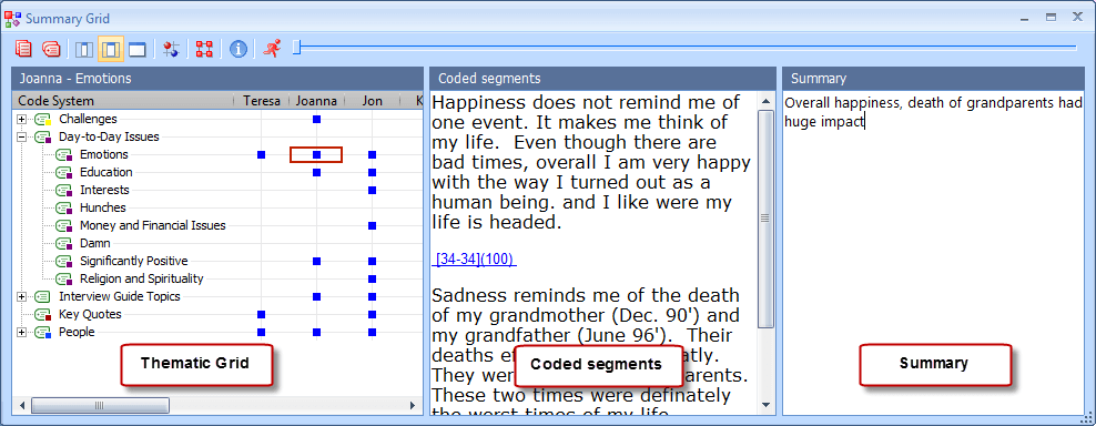 The MAXQDA interpretation tool 'Summary Grid' The MAXQDA interpretation tool 'Summary Grid'