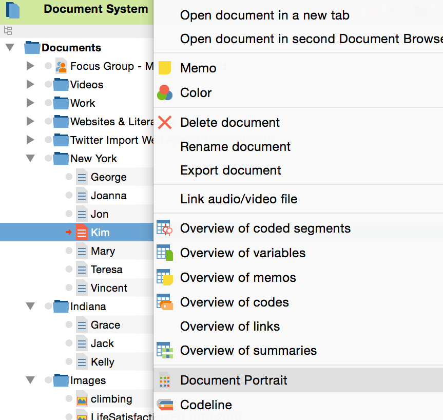 Document portrait
