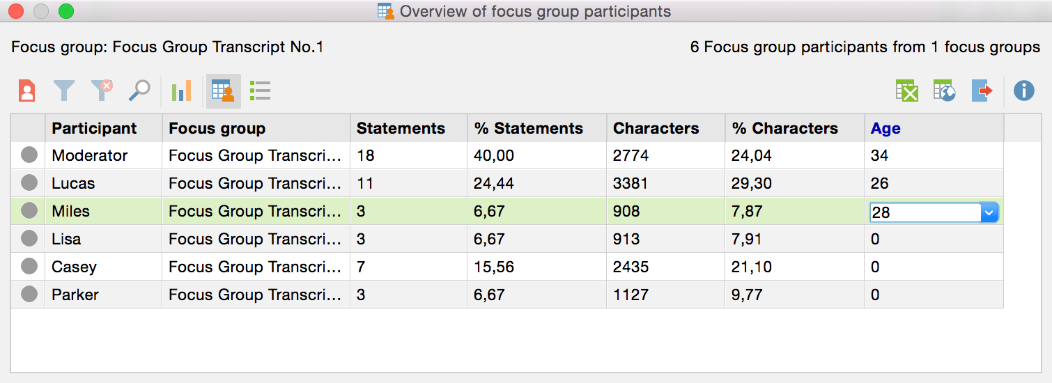overview-focus-group-maxqda