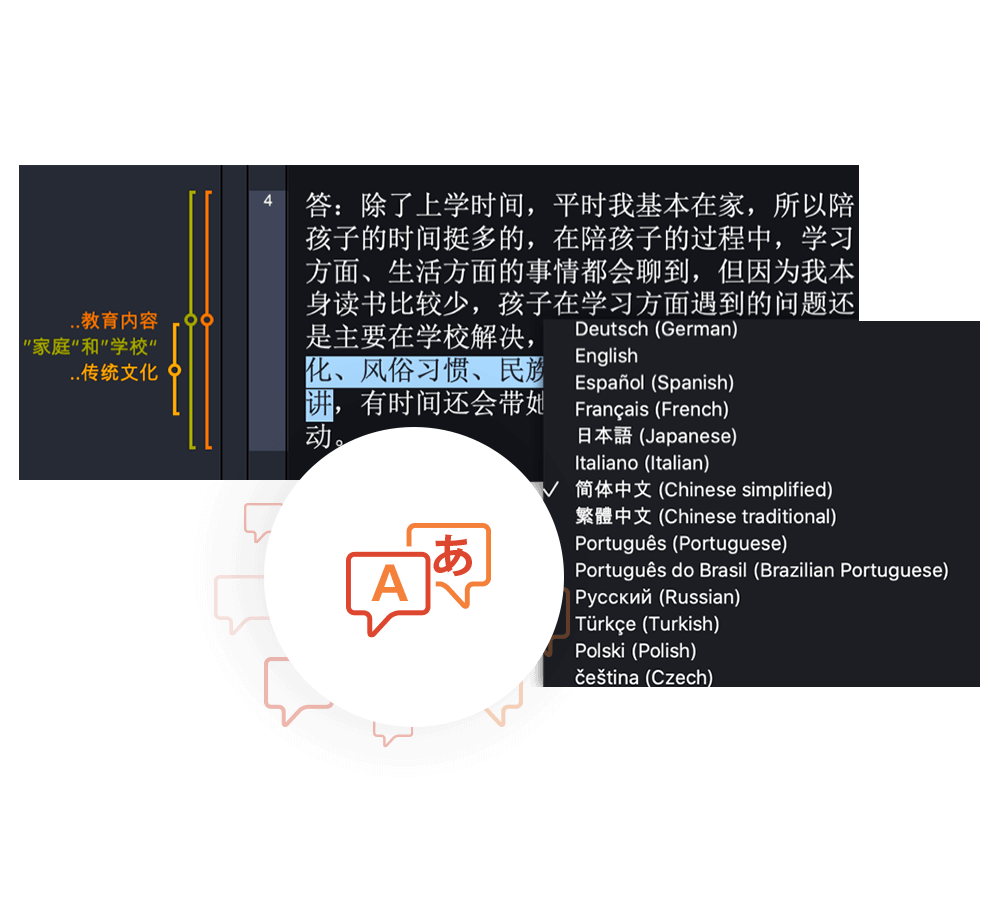 Literature Review Software MAXQDA