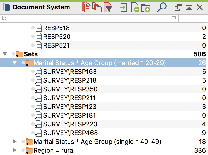 Inserted document sets in the “Document System” window of a MAXQDA project Inserted document sets in the “Document System” window of a MAXQDA project